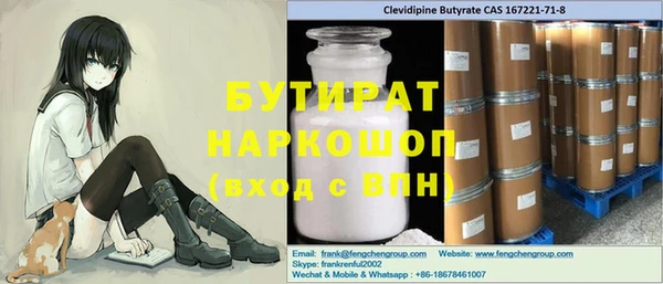 индика Новозыбков