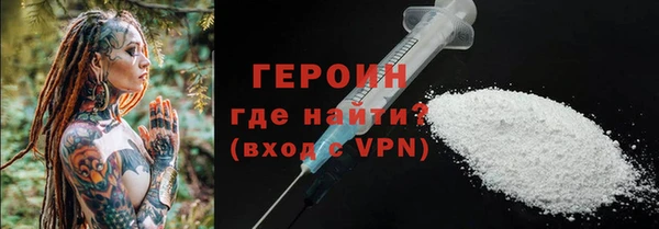 индика Новозыбков