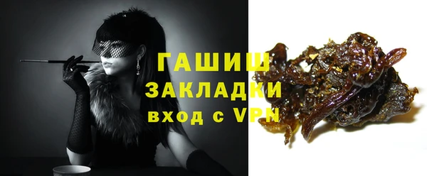 индика Новозыбков