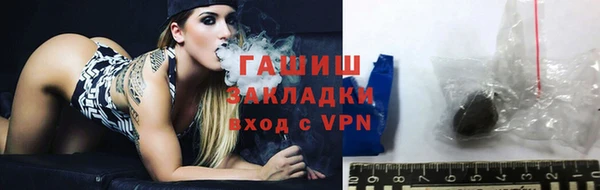 индика Няндома