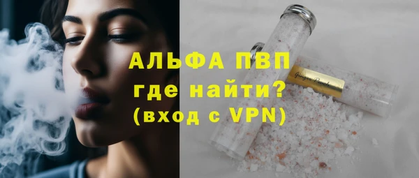 индика Новозыбков