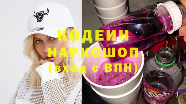 индика Няндома
