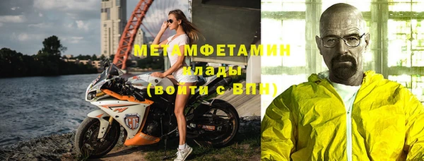 индика Няндома