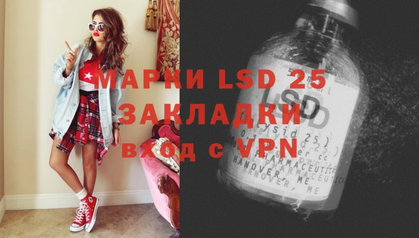 индика Няндома