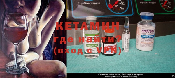 индика Няндома