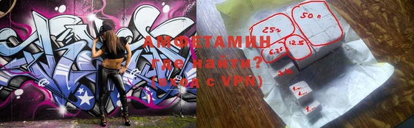 индика Няндома