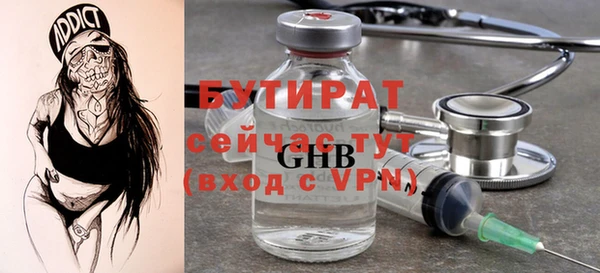 индика Новозыбков