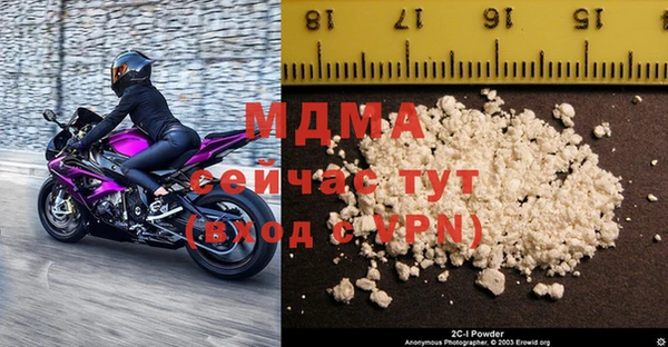 индика Няндома