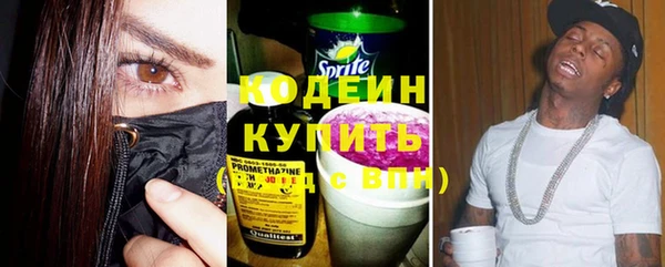 индика Няндома