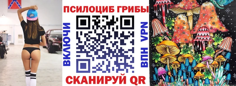 что такое   Полесск  Галлюциногенные грибы Cubensis 