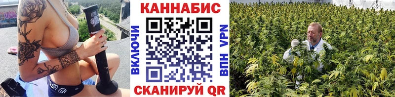 где купить наркоту  Полесск  Канабис план 